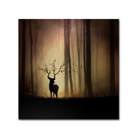 Trademark Fine Art Sebastien Del Grosso 'Legends DAutomne' Canvas Art, 35x35 1X00795-C3535GG